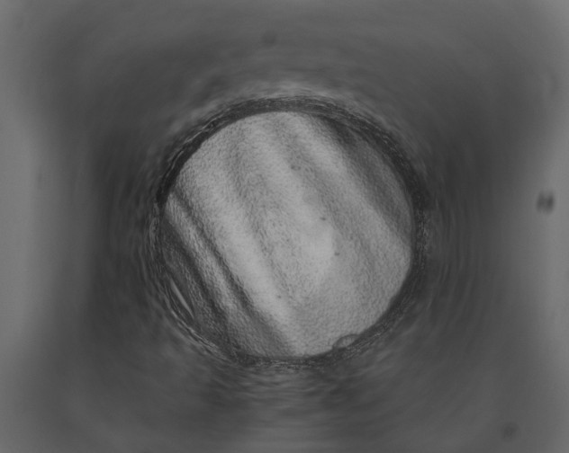 X0000091101493200708271305