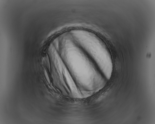 X0000091101494200708271305