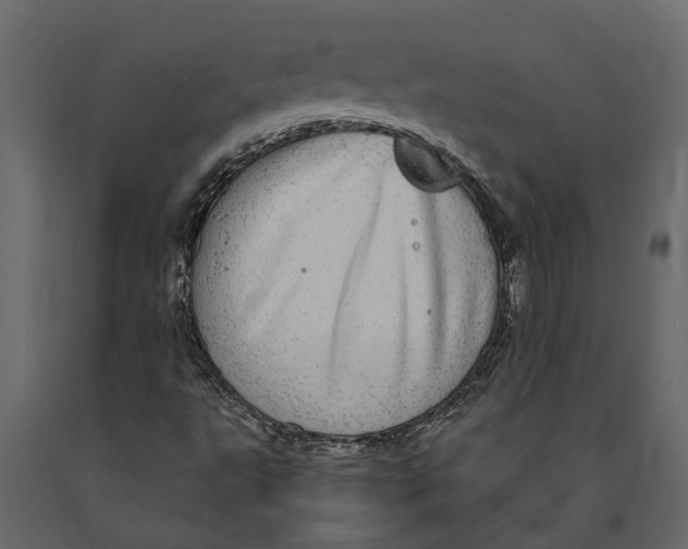 X0000091101495200708271305