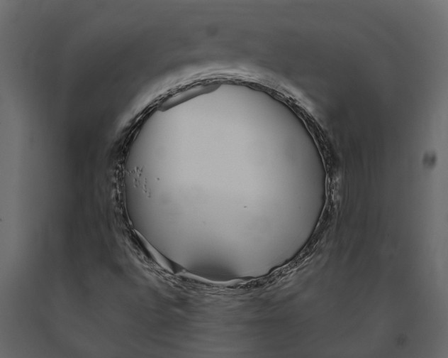 X0000091101496200708271306