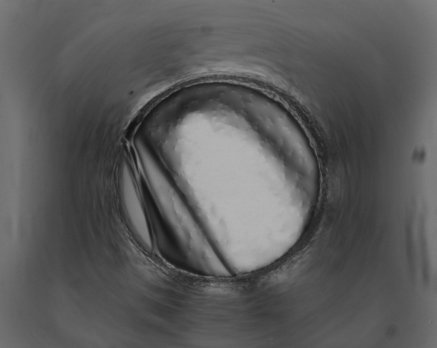 X0000091101497200708271306