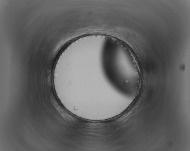 X0000091101499200708271306