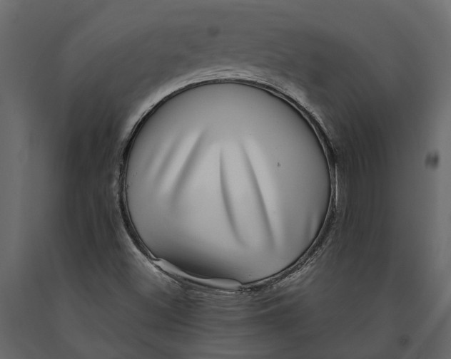 X0000091101500200708271306