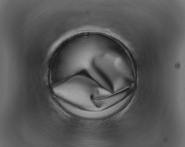 X0000091101502200708271306