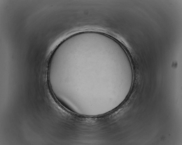 X0000091101504200708271306