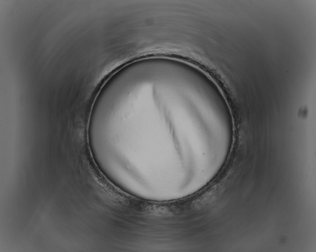 X0000091101505200708271306