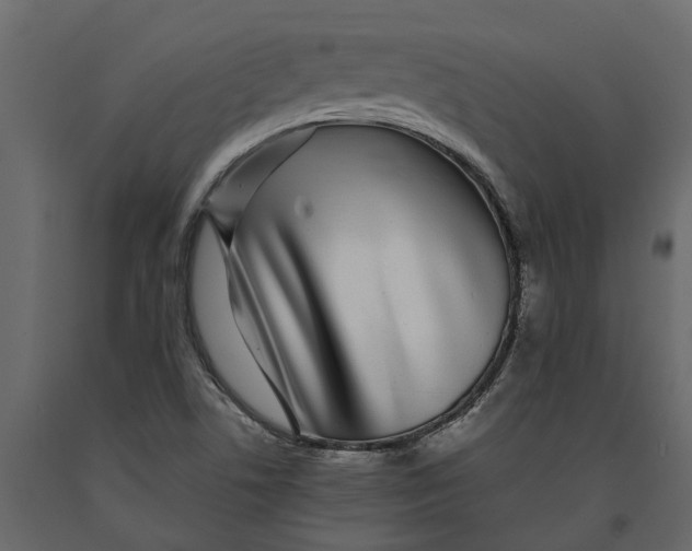 X0000091101506200708271306