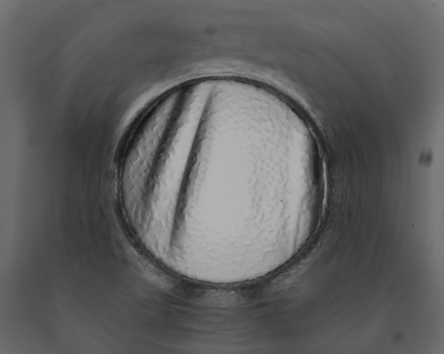 X0000091101509200708271306