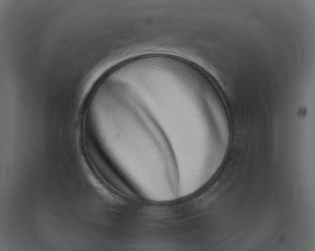 X0000091101511200708271306