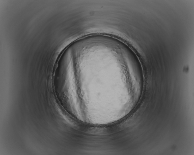 X0000091101513200708271306