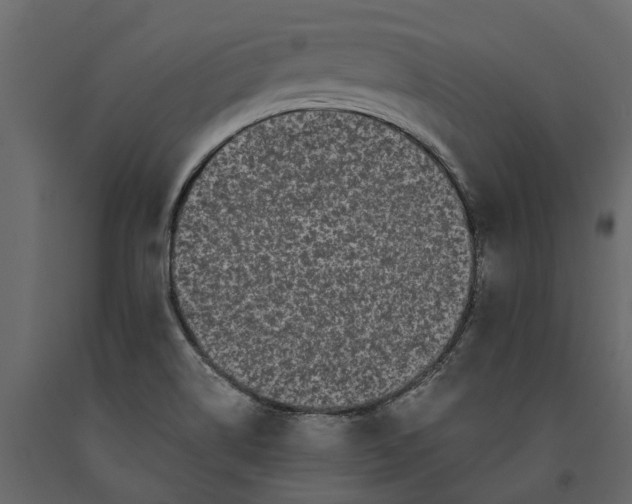 X0000091101514200708271306