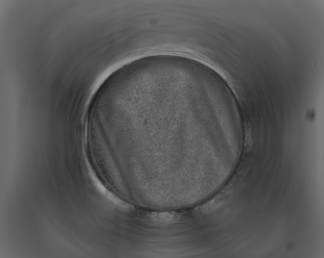 X0000091101515200708271306