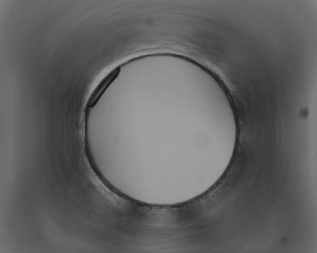 X0000091101516200708271306