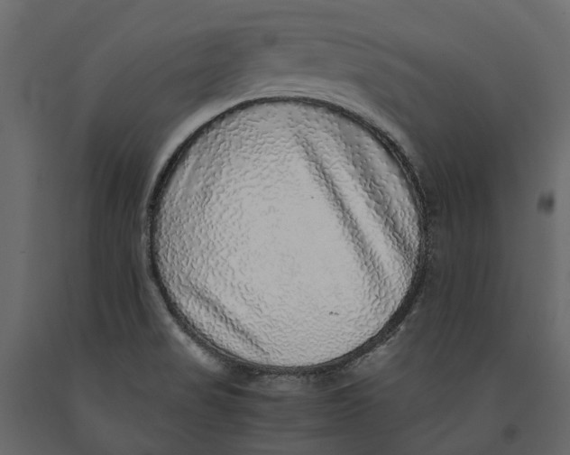 X0000091101517200708271306