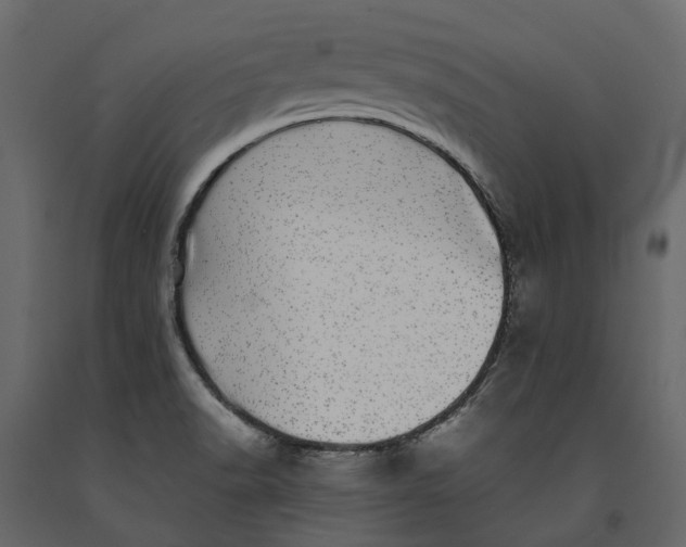 X0000091101518200708271306