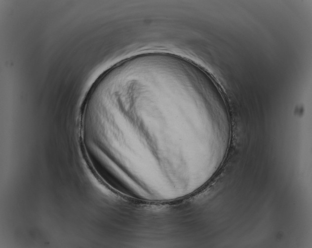 X0000091101519200708271306