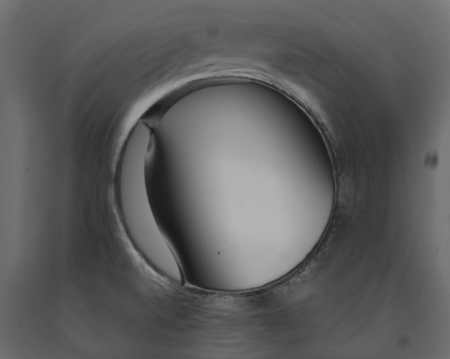 X0000091101520200708271306