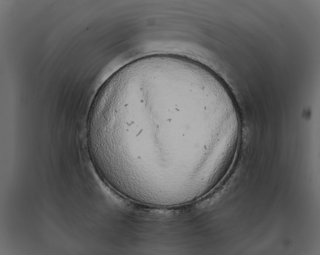 X0000091101521200708271306