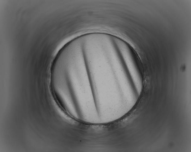 X0000091101523200708271306