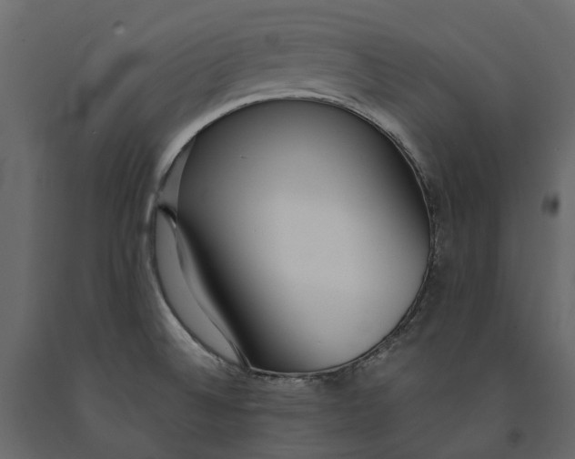 X0000091101524200708271306