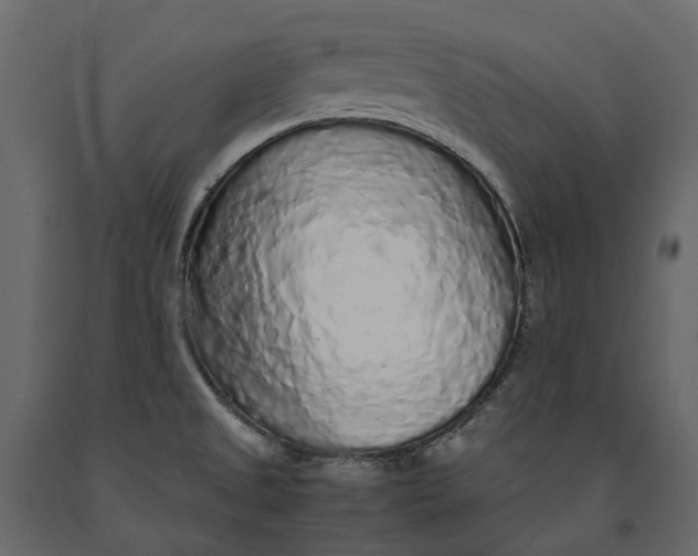 X0000091101525200708271306