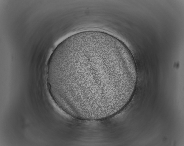 X0000091101526200708271306