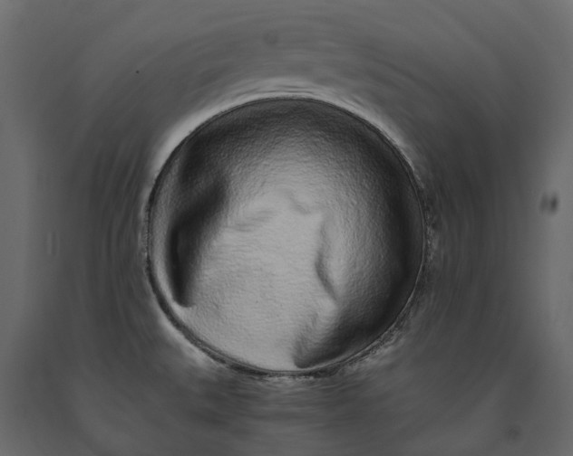 X0000091101527200708271306