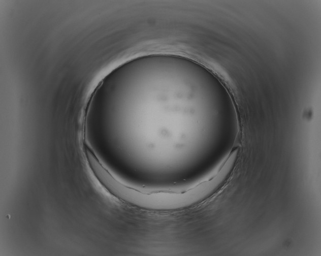 X0000091101528200708271306