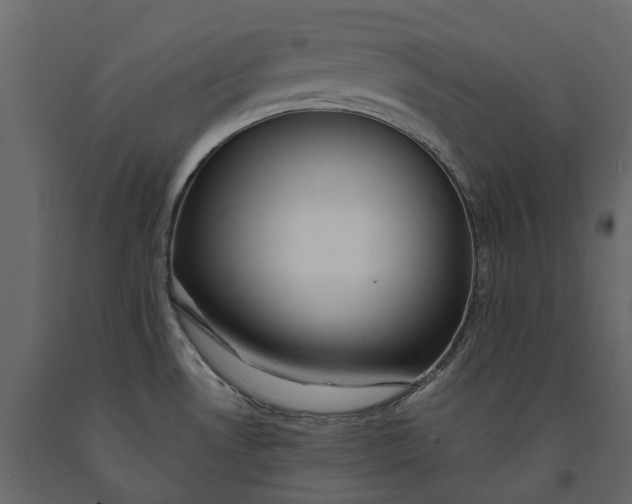 X0000091101530200708271306