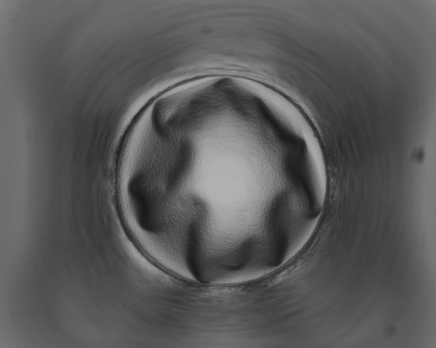 X0000091101531200708271306