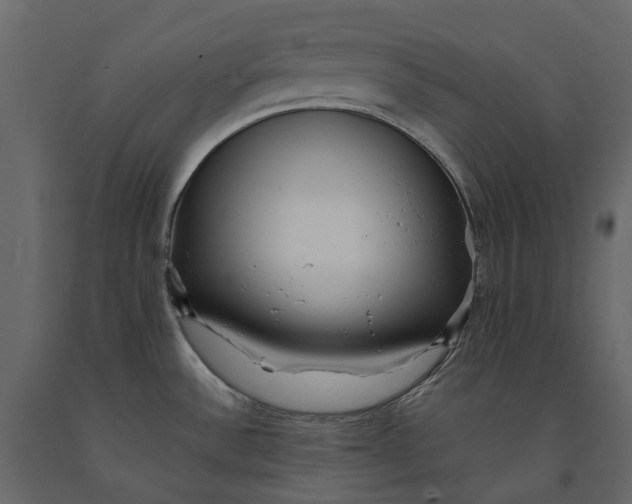 X0000091101532200708271306