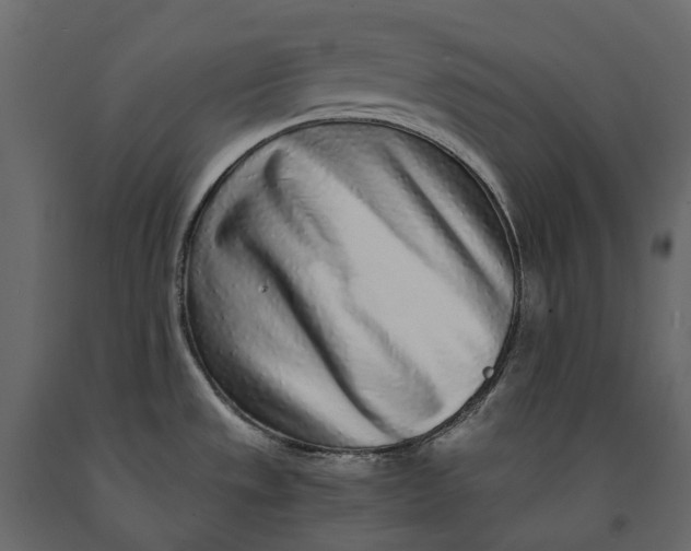 X0000091101533200708271306