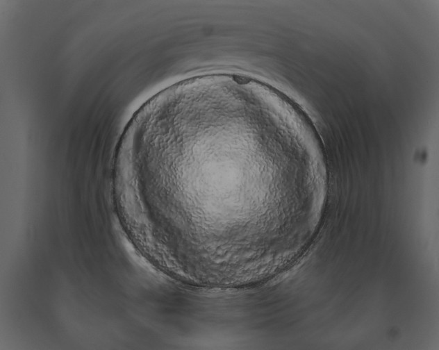 X0000091101534200708271306