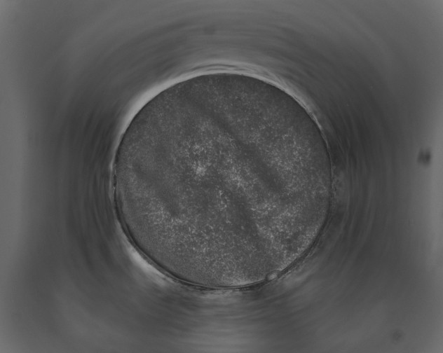 X0000091101535200708271306