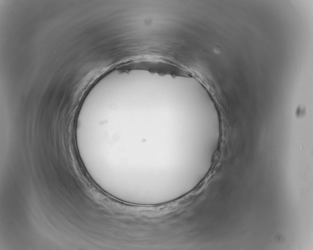 X0000091100001200709041333