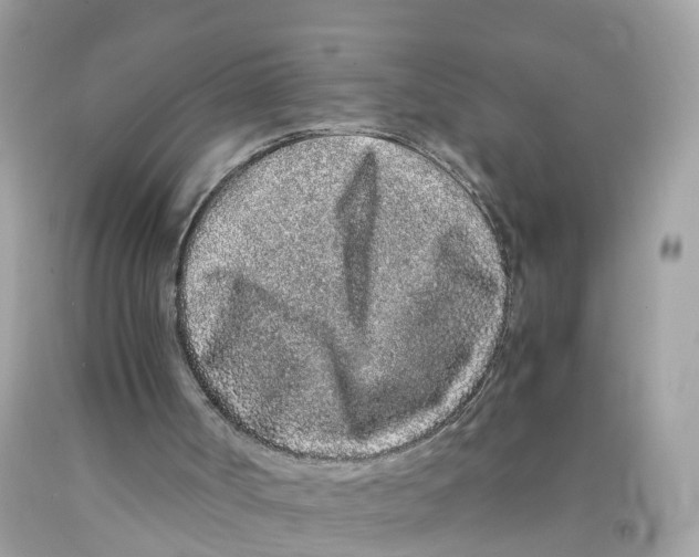 X0000091100002200709041333