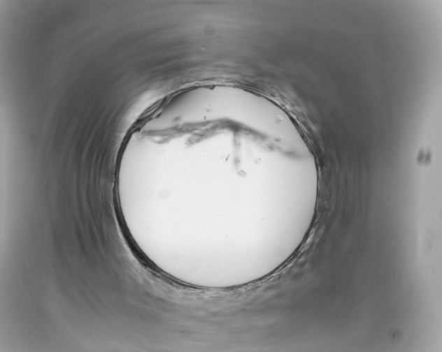 X0000091100003200709041333