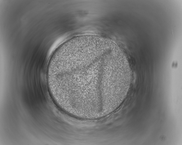 X0000091100004200709041333