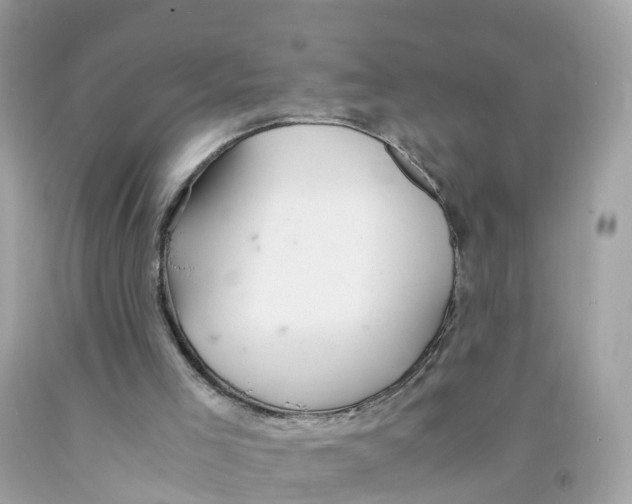 X0000091100005200709041333