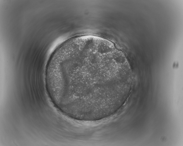 X0000091100006200709041333