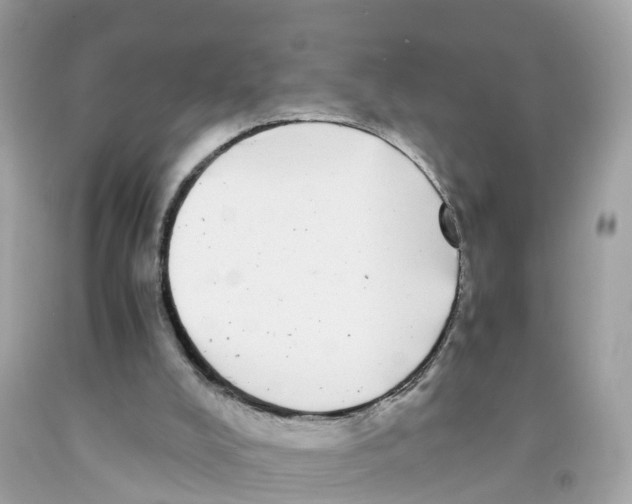 X0000091100008200709041333