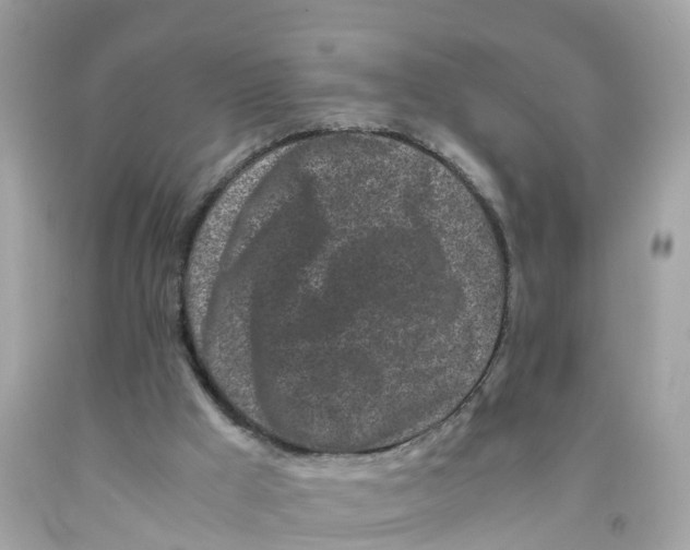 X0000091100009200709041333