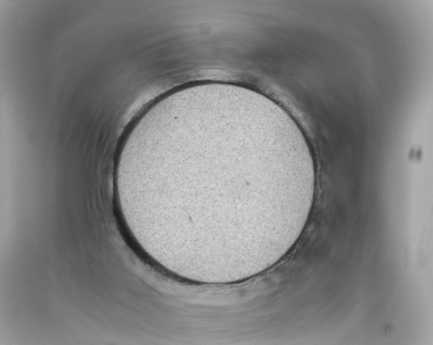 X0000091100011200709041333