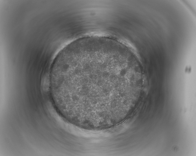 X0000091100012200709041333