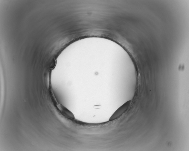 X0000091100013200709041333