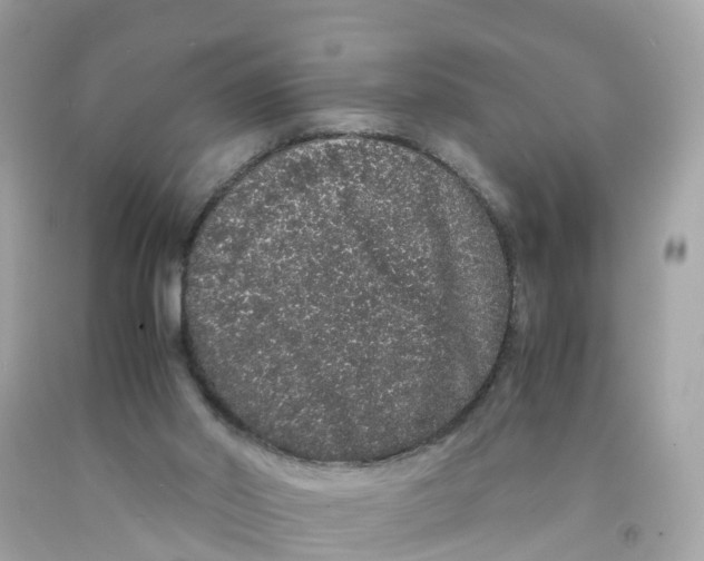 X0000091100014200709041333