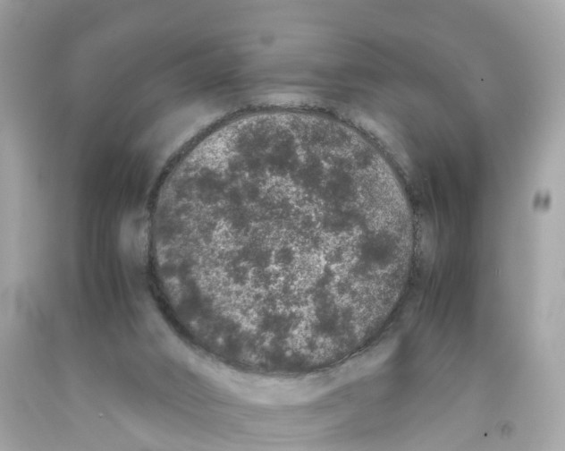 X0000091100016200709041333