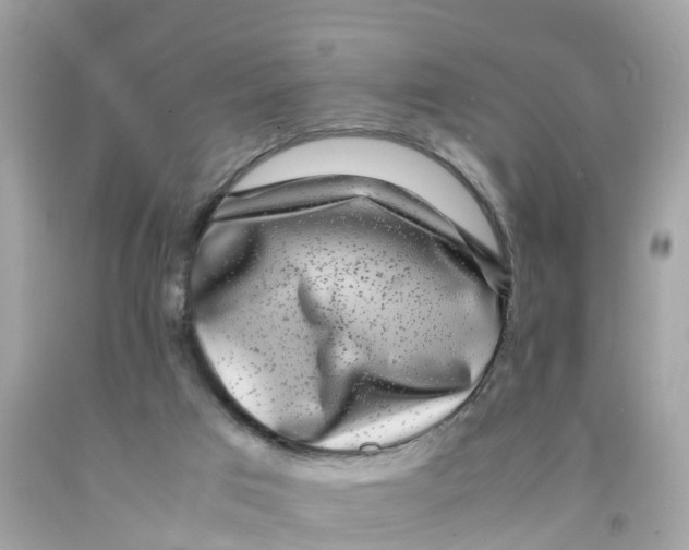 X0000091100017200709041333