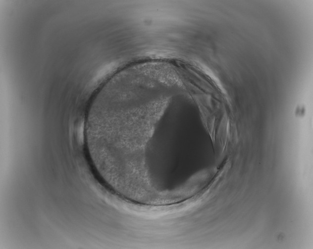 X0000091100019200709041333