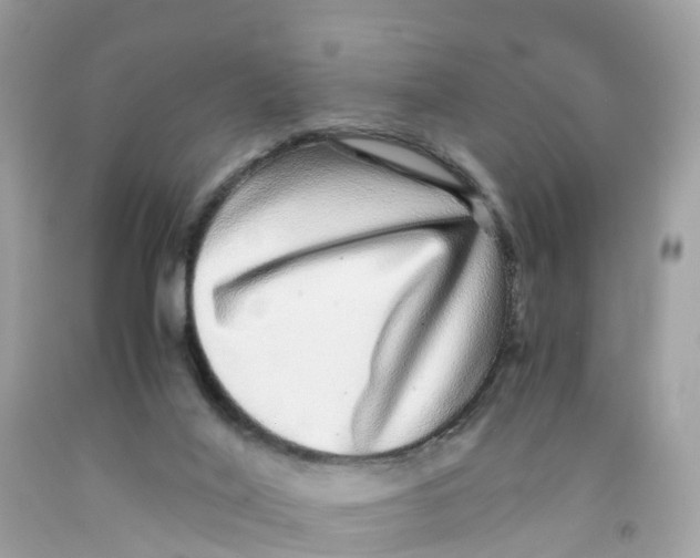 X0000091100020200709041333